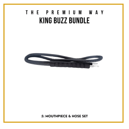 King Buzz Beginner's Shisha Kit